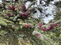 OdinB_20260501_69f4aa78ec79a.jpg