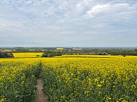 OdinB_20260501_69f4aa7913407.jpg