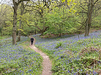 OdinB_20260501_69f4aa7917944.jpg