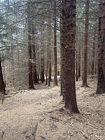 OdinB_20260520_6a0dd9ad9a380.jpg