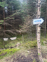 OdinB_20260520_6a0dd9adeea13.jpg