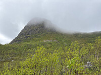 OdinB_20260522_6a10679cdf698.jpg
