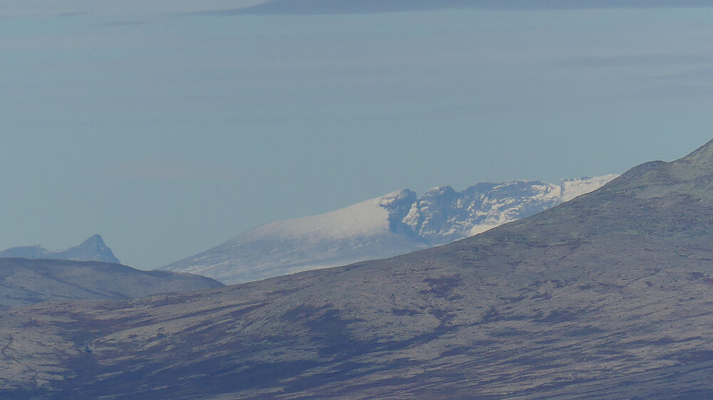 Snøhetta