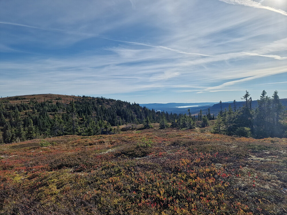 Osensjøen Løssetknubben