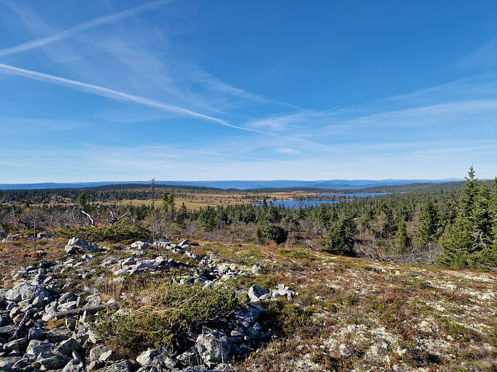 Glesåskjennet
