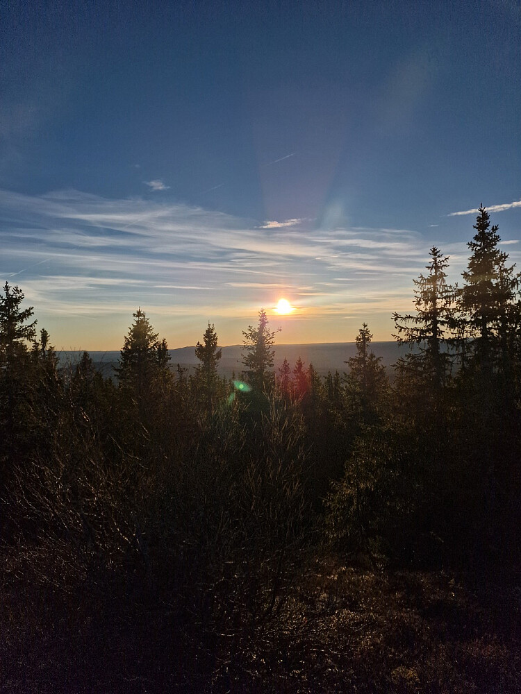 Solnedgang