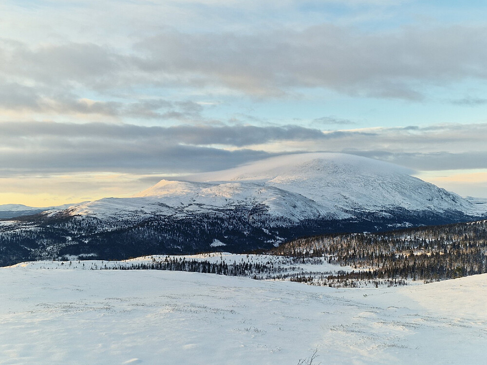 Tronfjell