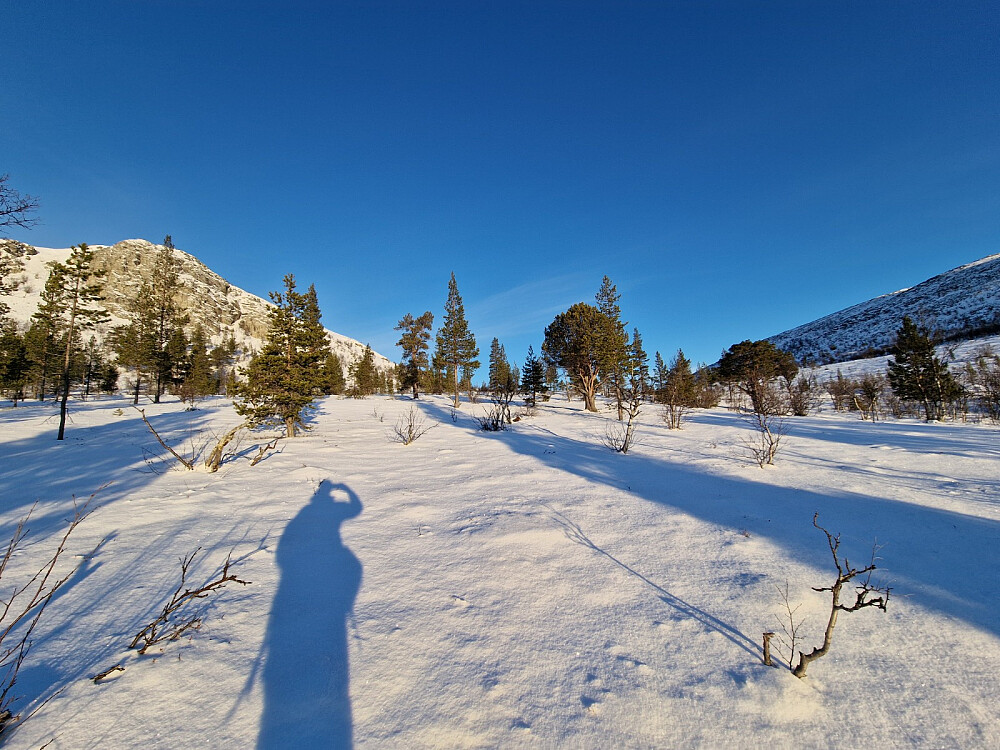 Mellom Urdskardskampen og Blåvola