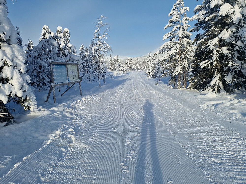 Fine løyper helt fra veien.