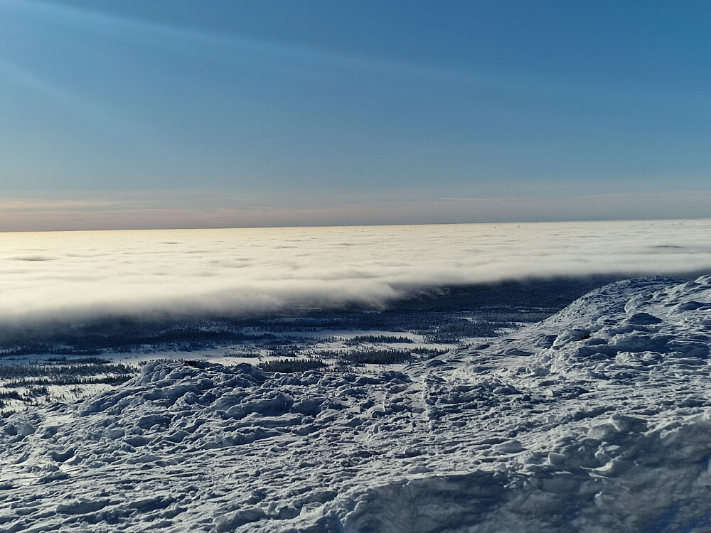 Tåkehav med vindturbiner stikkende opp