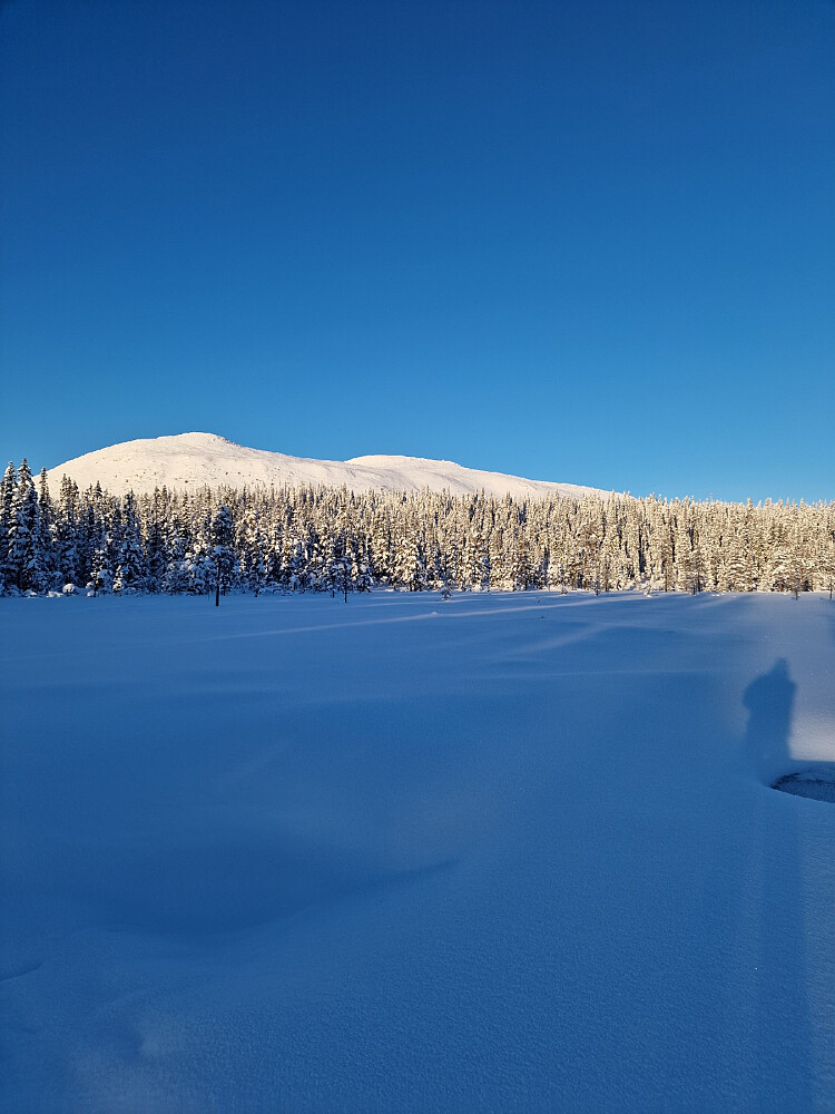 Toppen av Trysilfjellet. Her ser man vidt omkring