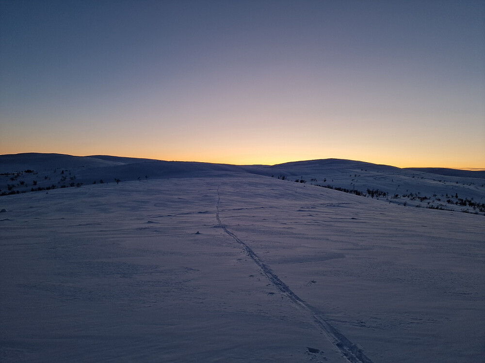 Skarven i solnedgang
