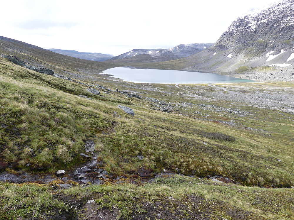 Blåhøtjønna er passert og jeg er snart oppe i skaret mellom Blåhøa og Falkfangarhøa. 