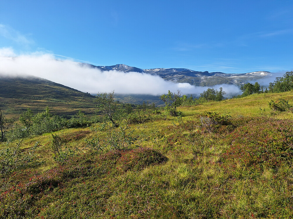 Jeg har kommet meg opp fra skogen og får utsikt til fjellene mellom Sunndalen og Storlidalen.