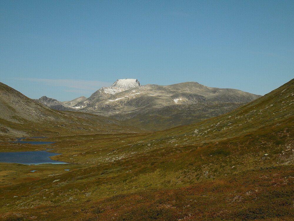 Neådalssnota er blikkfang fra Hyttdalen.