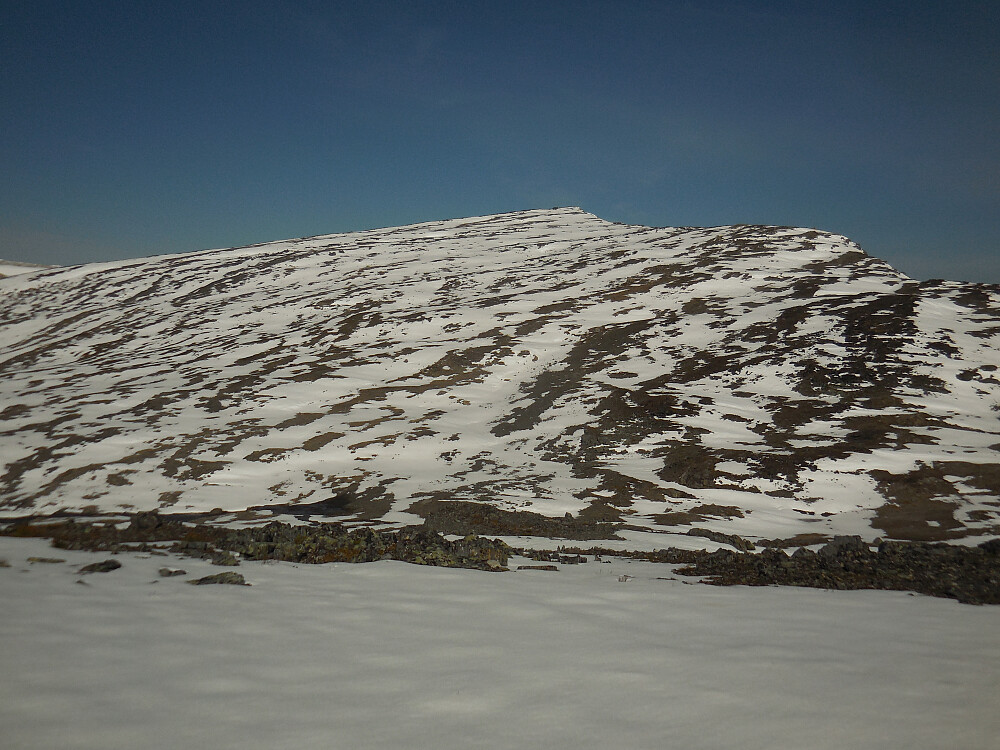Mot Søndre Storlifjellet fra Sør for Søndre S.