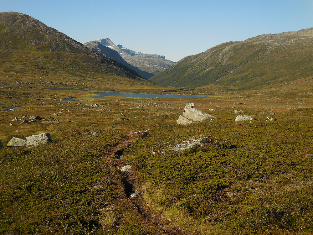 Det er godt å komme seg ned fra vinter og snø til Hyttdalen og full sommer!