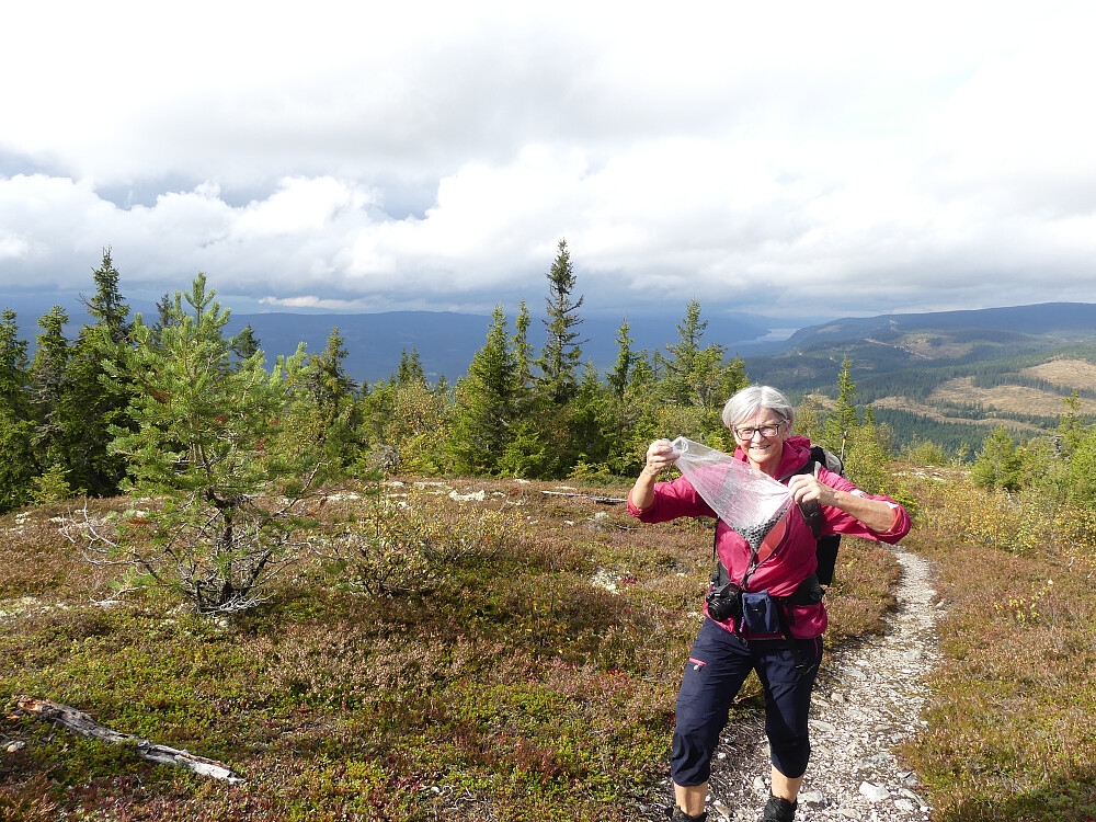 Turid med pose rik på både antioksidanter og C-vitaminer!