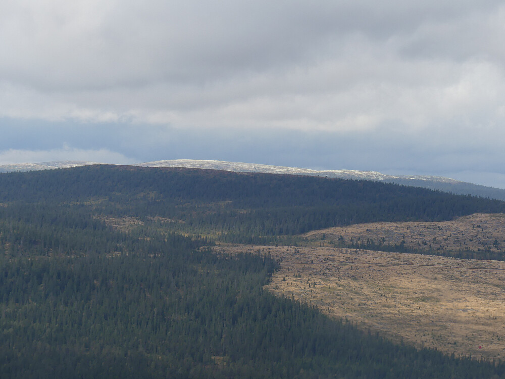 Utsikt til det grå Gråfjellet.