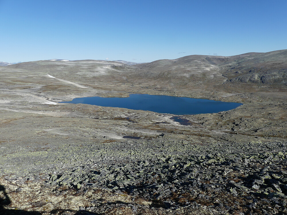 Fisktjønni med Vegskaret i bakgrunnen sett fra Brunkollen.
