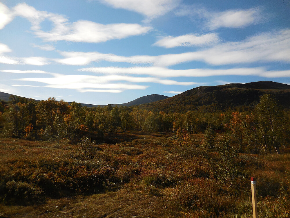 Høstfargene er i ferd med å innta fjellet. Fra Avsjøsætre med Blåberget i bakgrunnen. 