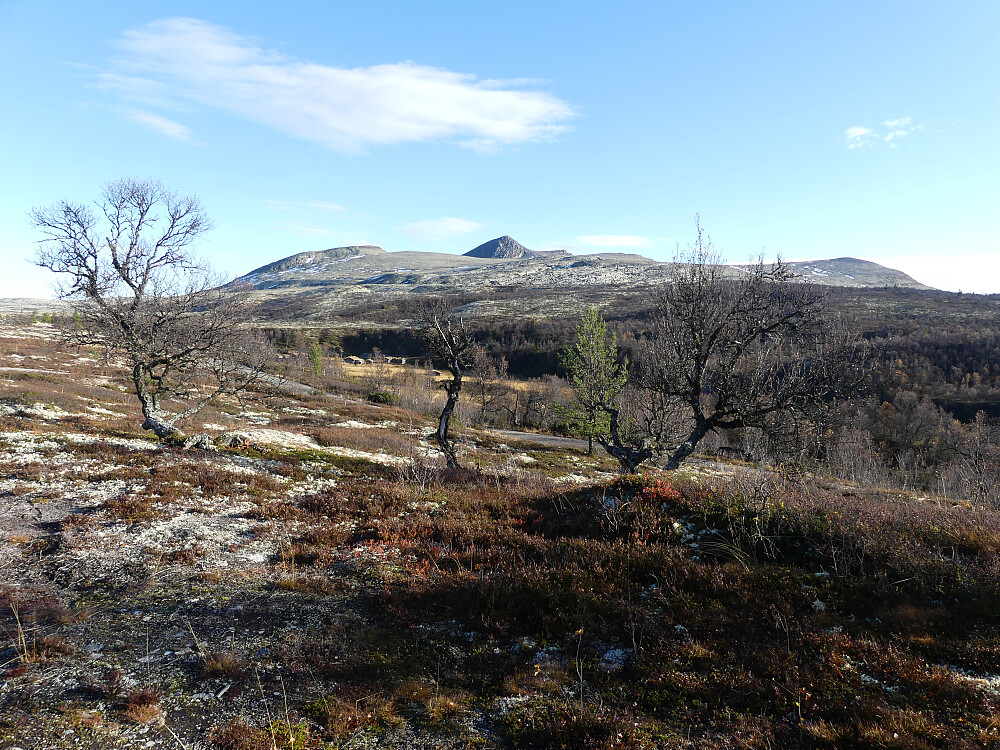 Dagens bestigninger sett fra venstre: Steinhyllhøa, Raudsjøpiggen, fortoppen, Sørøst for Raudsjøpiggen og Østre Raudsjøtangen.