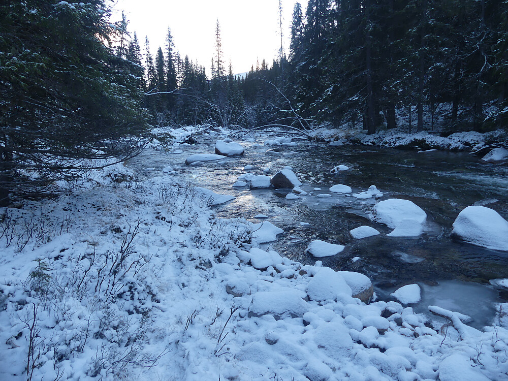 Det både føles og ser kaldt ut nede i skyggen i Tegningsdalen.