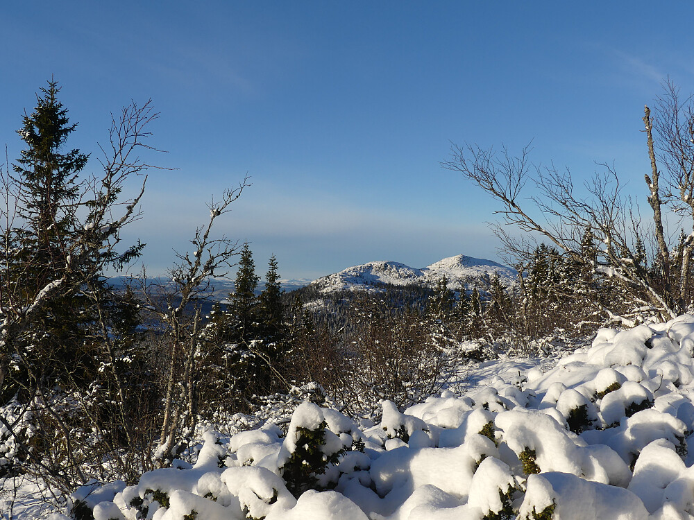 Den store Byringen viser seg fram på vei opp til den vesle.