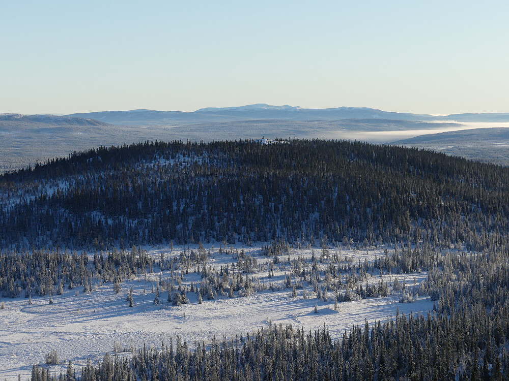 Fin utsikt til Høgåsen fra Vesle Byringen.