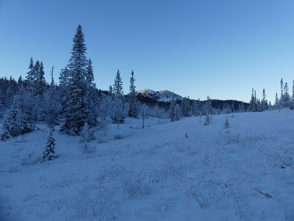 Vesle Byringen fra Dulpmyra.