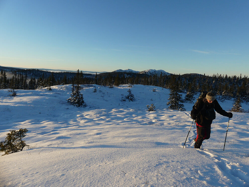 Høgåsen er snart nådd. Byringene i bakgrunnen.
