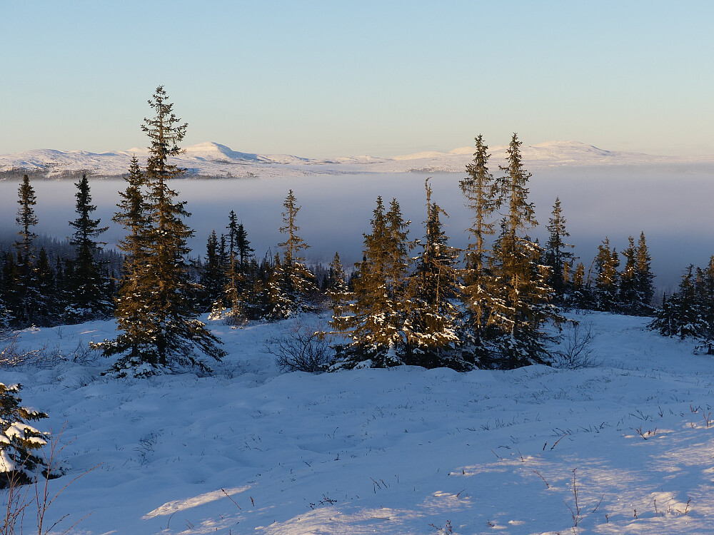 Mot Trysilknuts Fjellverden.