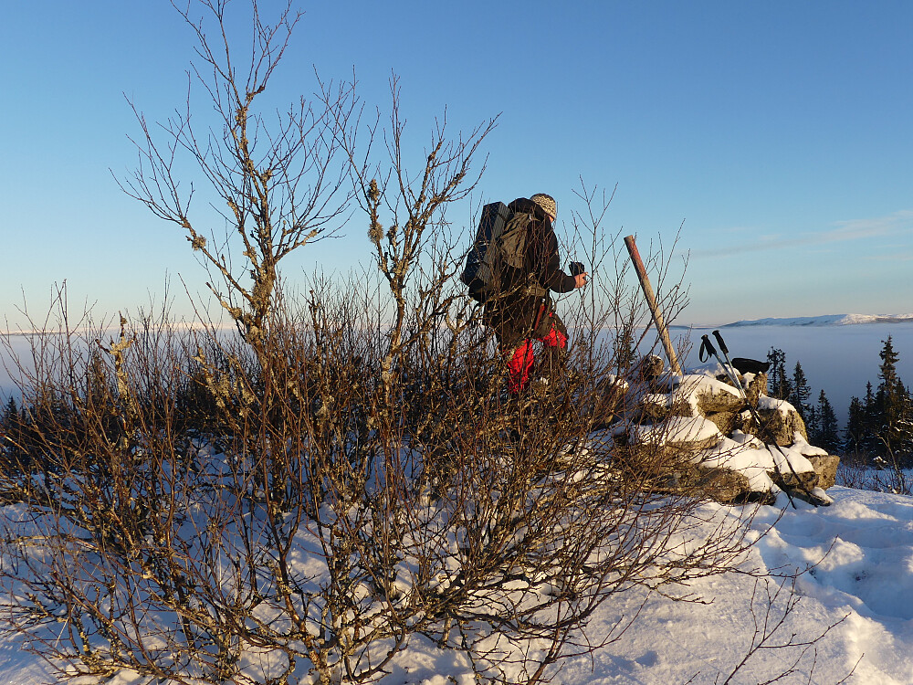 Håkon på Høgåsen.