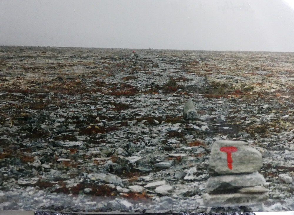 På vei hjem over Storflye - langt, flatt og kjedelig!