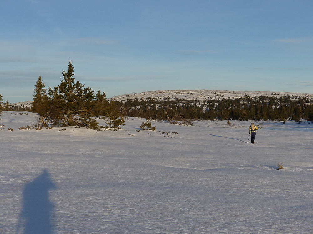 Fine forhold innover Lislåttmyrene og mot Gråfjellet.