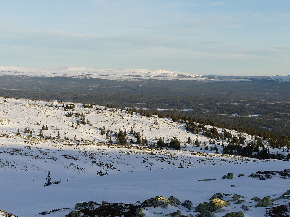 Mot Trysil-Knuts Fjellverden.