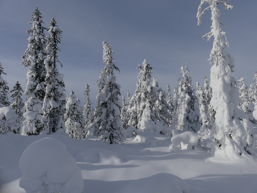 Jeg er førstemann her i dag.