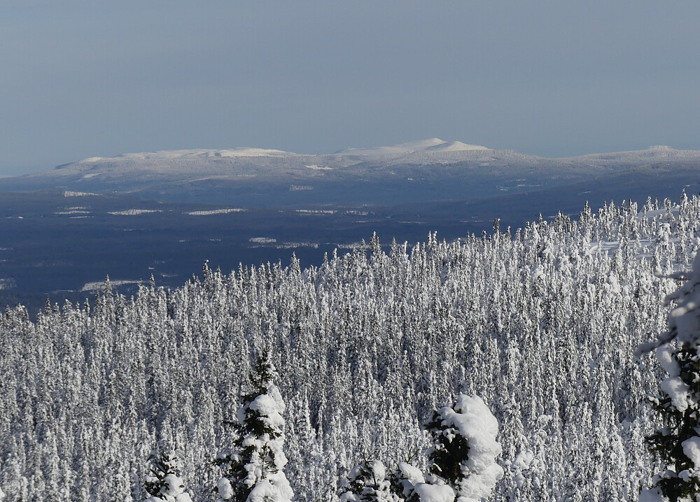 Trysilfjellet ligger badet i sol.