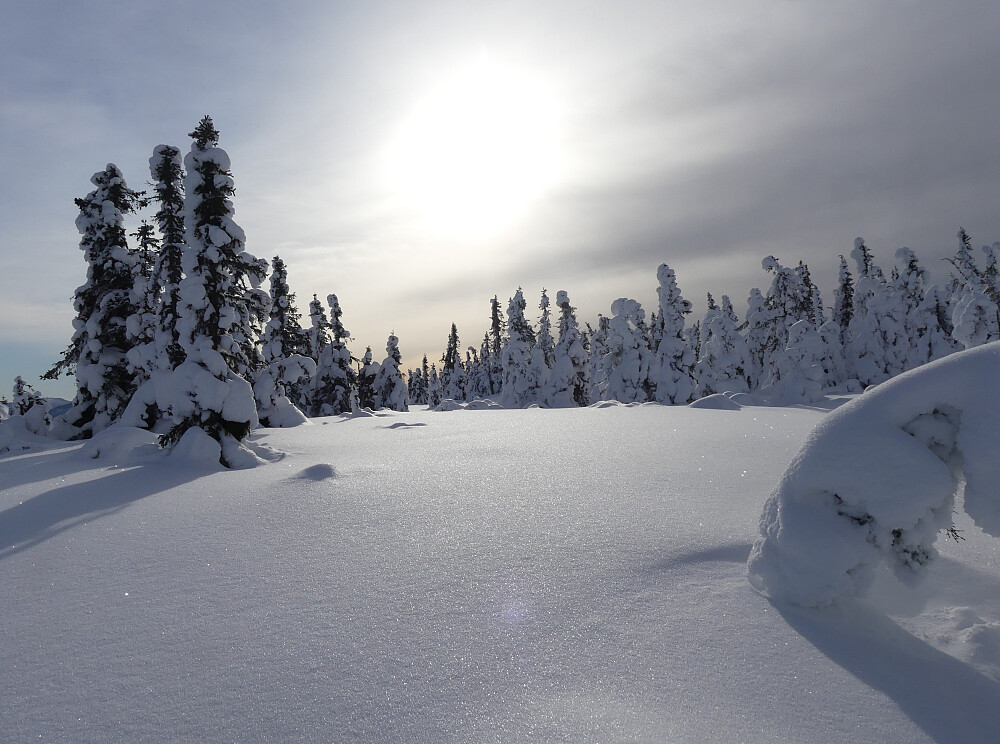 Det er nesten for gæli å sette skispor her!