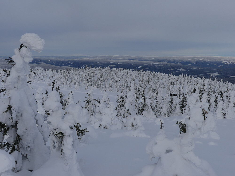 Fra toppen av Engulvsfjellet og mot Nord for Pålstjennet. Gapahuken ses litt til høyre i bildet.