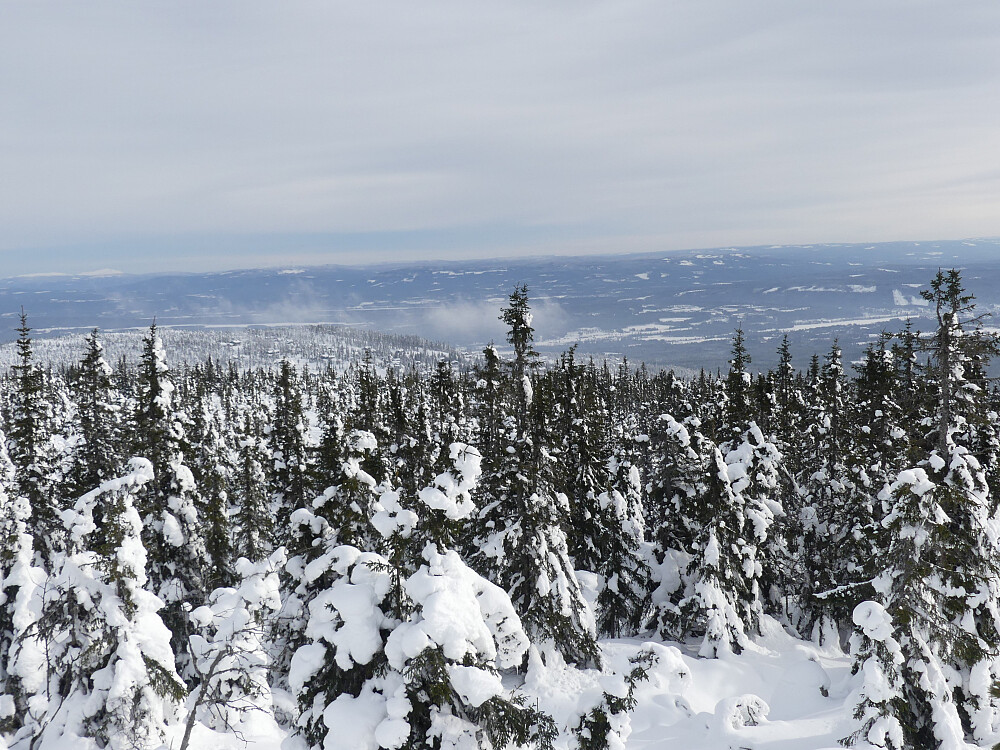 Innimellom kommer det noen solide vindkast og mye av skogen har gjort seg ren.