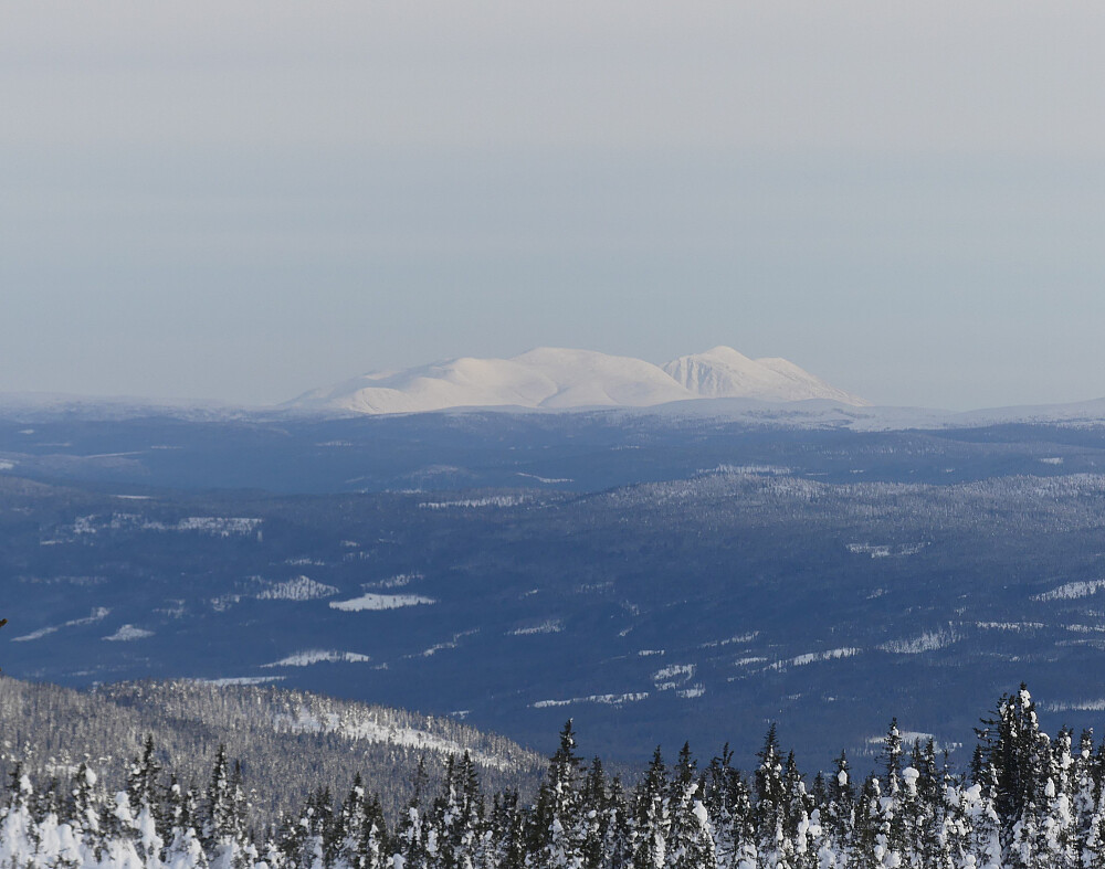 Rendalssølen i nord.