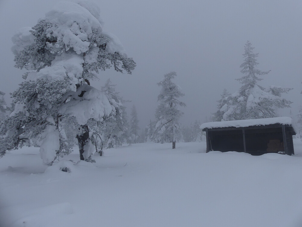 Gapahuken ved Digeråsen.