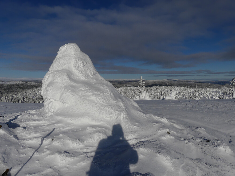 På Engulvsfjellet i sol. Store kontraster fra gårdsdagens tur. 