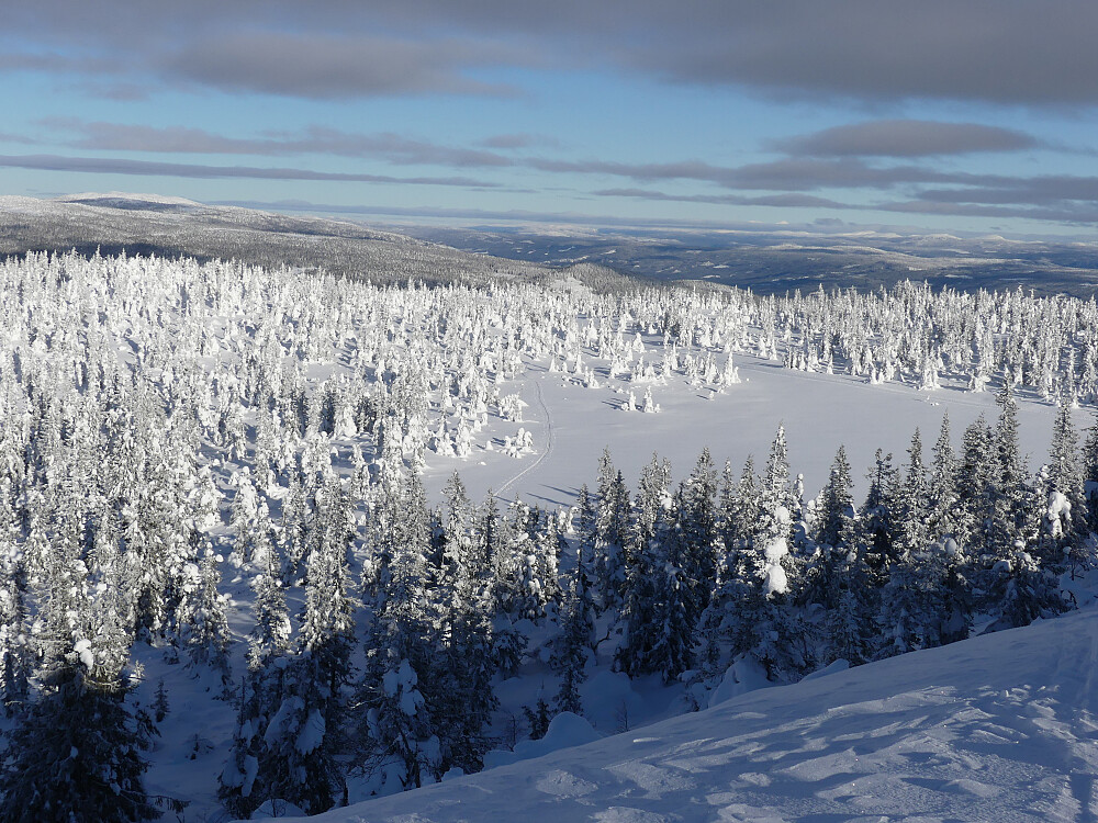 Nordover Glåmdalen. Strandskarven helt til venstre i bildet. 