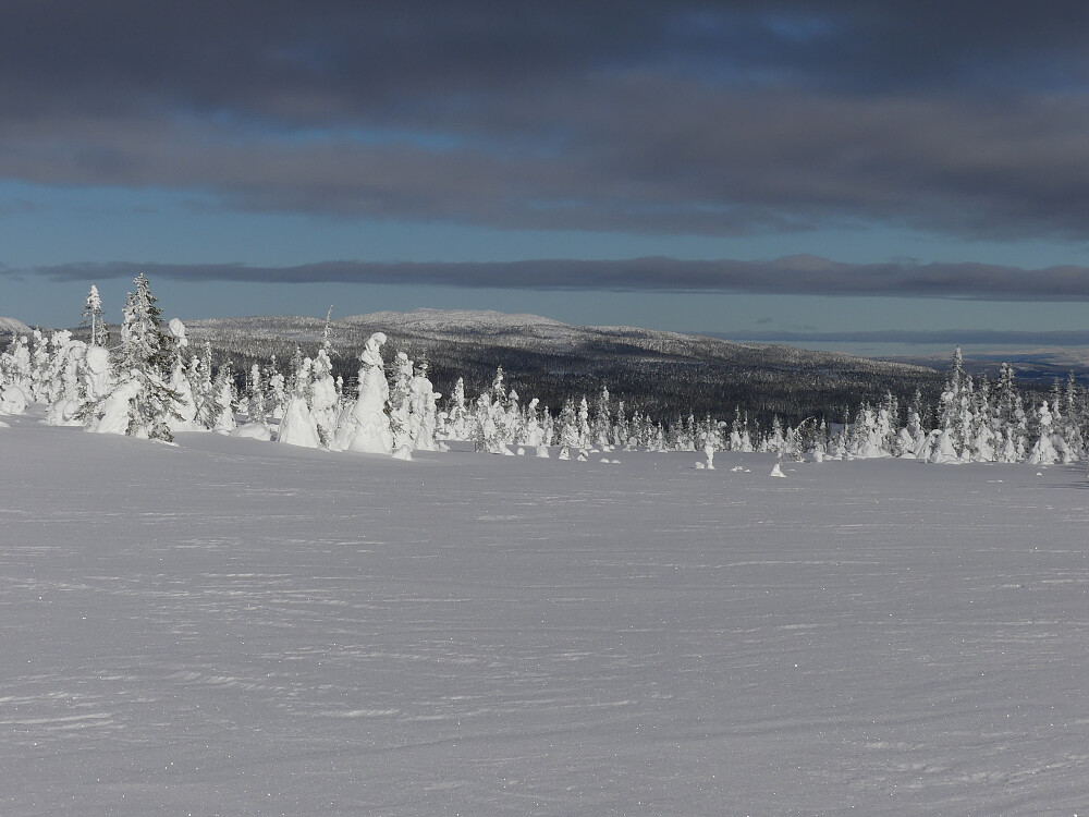 Hovdsjøfjellet, eller Strandskarven som den også kalles, i nord.