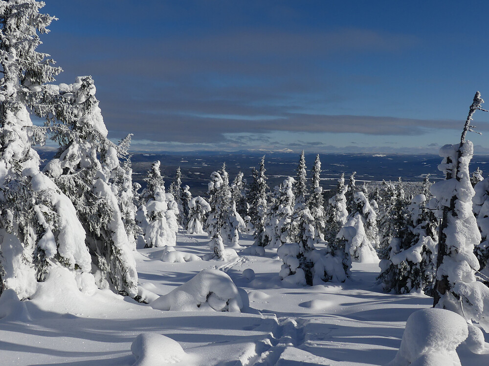 Utsikt østover til Trysilfjellet.
