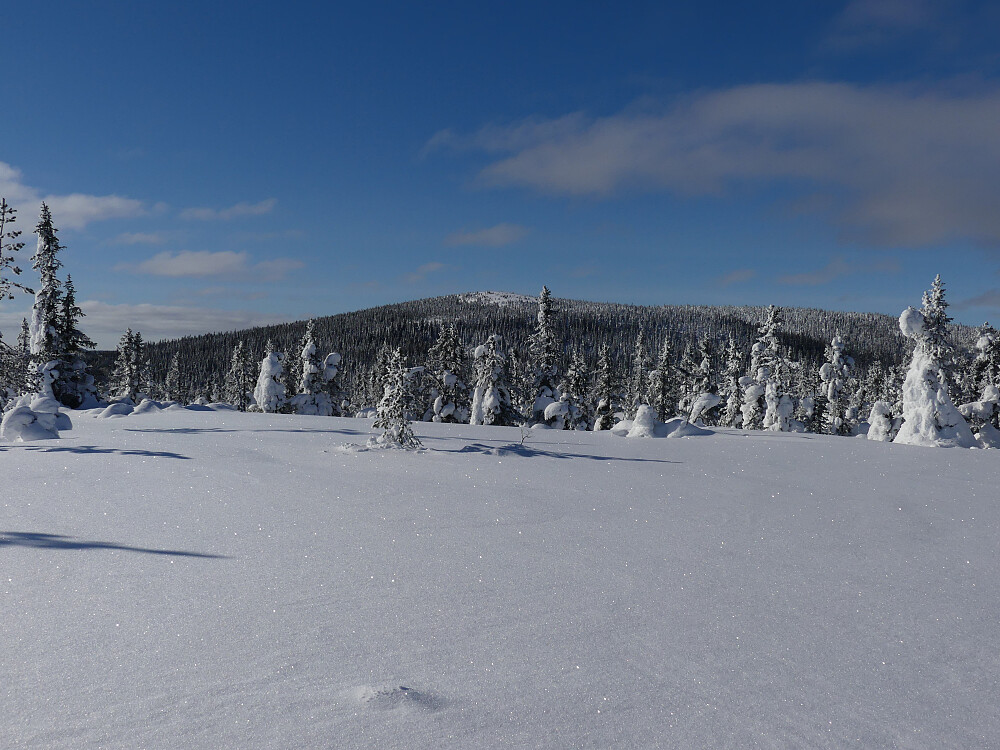 Engulvsfjellet fra Digeråsen.