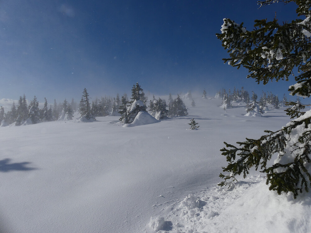 Jeg nærmer meg toppen og vinden får skikkelig tak.