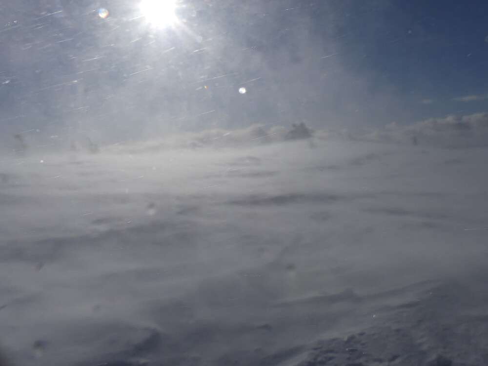 På toppen av Engulvsfjellet er det vanskelig å holde seg på beina!